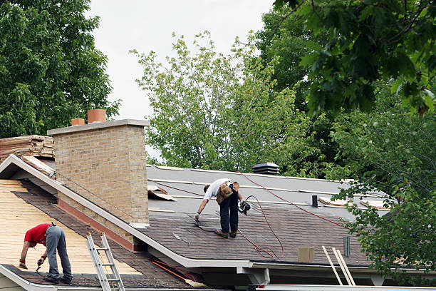Roof Gutter Cleaning in Medina, TX