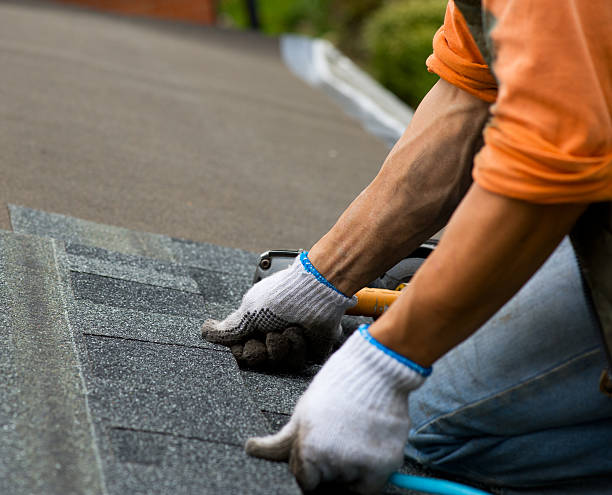 Professional Roofing Contractor in Medina, TX